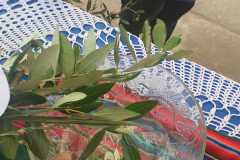 WhatsApp-Image-2026-04-01-at-10.13.59-AM-4