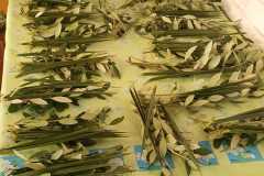 WhatsApp-Image-2026-04-01-at-10.13.59-AM