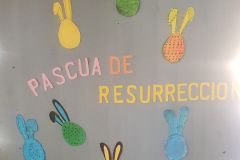WhatsApp-Image-2026-04-08-at-11.51.43-AM-4